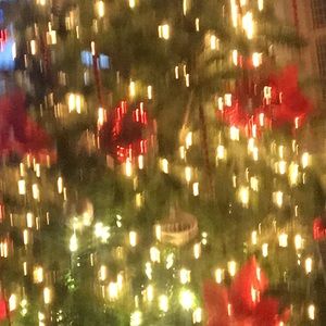 Meet your Posher, Susana